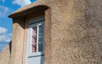 Barnafield thatch roof disadvantages